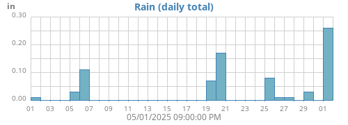 Rain