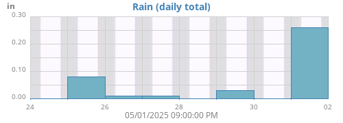 Rain